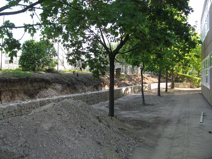 B_IMG_3295.JPG