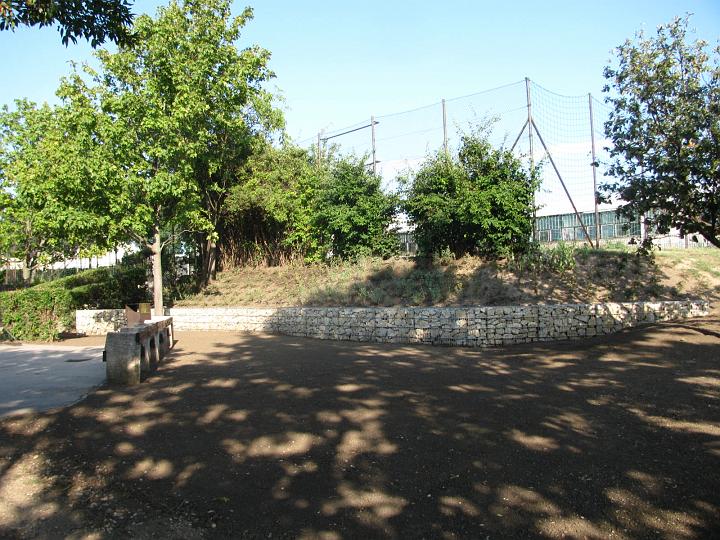 D_IMG_7938.JPG