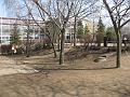 A_IMG_7713