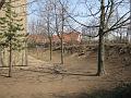 A_IMG_7773