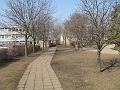 A_IMG_7785