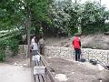 C_IMG_6977