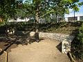 D_IMG_7881