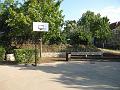 D_IMG_7955